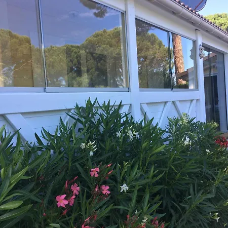 La Maison D Oliver * Gassin
