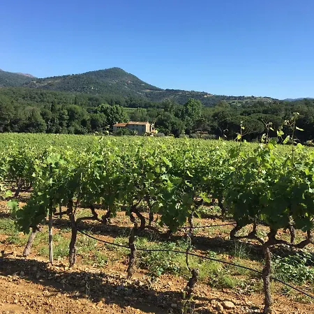 La Maison D Oliver Hébergement de vacances